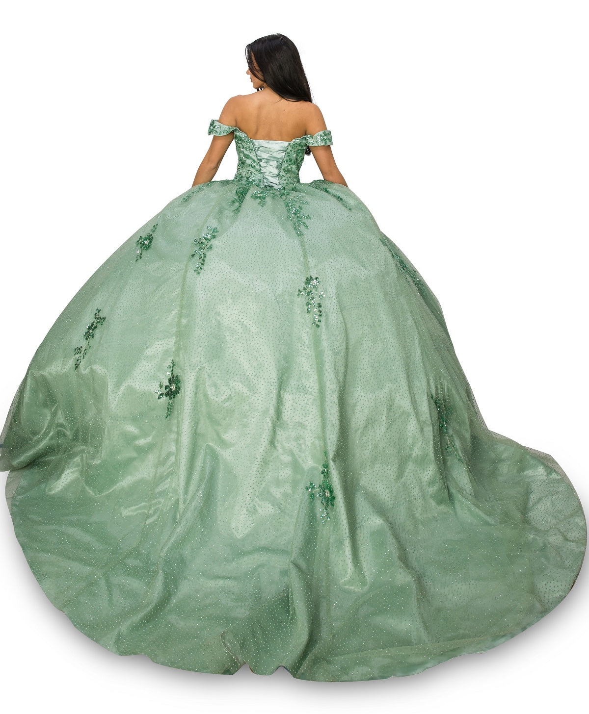 Sage_1 Off Shoulder Floral Applique Quinceanera Dress AS8060J