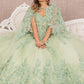 Sage_2 3-D Butterfly Sweetheart Neckline Quinceanera Dress - GL3104