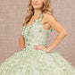 Sage_2 Jewel Embroidery Sweetheart Quinceanera Dress - GL3173