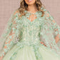 Sage_3 3-D Butterfly Sweetheart Neckline Quinceanera Dress - GL3104