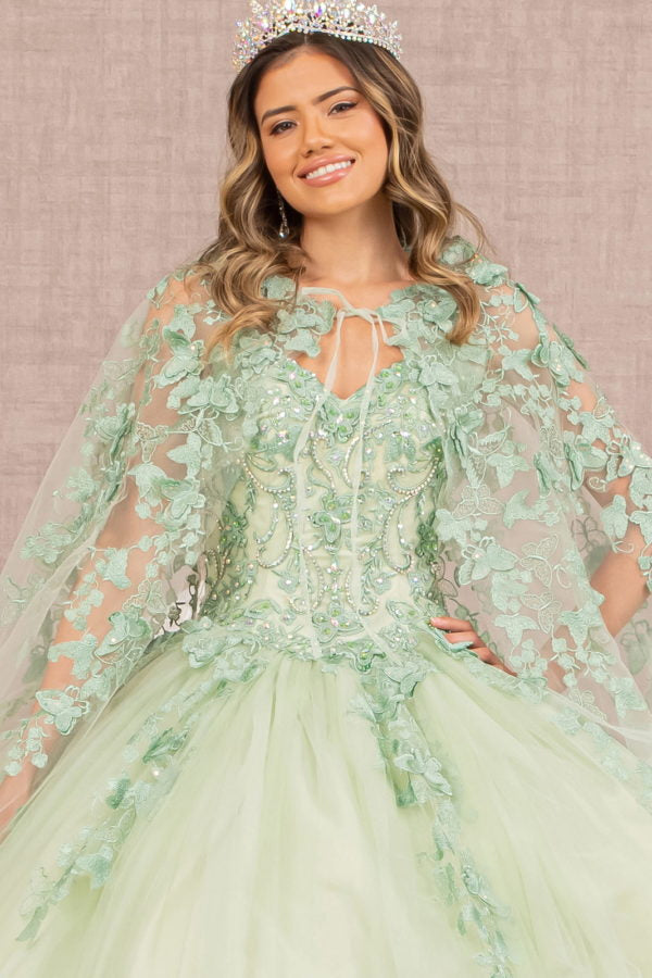 Sage_3 3-D Butterfly Sweetheart Neckline Quinceanera Dress - GL3104