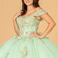 Sage_3 GL3102 - Flower Applique Sweetheart Neckline Quinceanera Dress