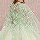 Sage_4 3-D Butterfly Sweetheart Neckline Quinceanera Dress - GL3104