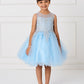 Sky Blue Girl Dress with Floral Applique Bodice - AS7013