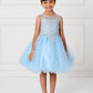 Sky Blue Girl Dress with Floral Applique Bodice - AS7013