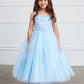 Sky Blue Girl Dress with Illusion Sweetheart Neckline - AS5818