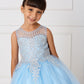 Sky Blue_2 Girl Dress with Floral Applique Bodice - AS7013
