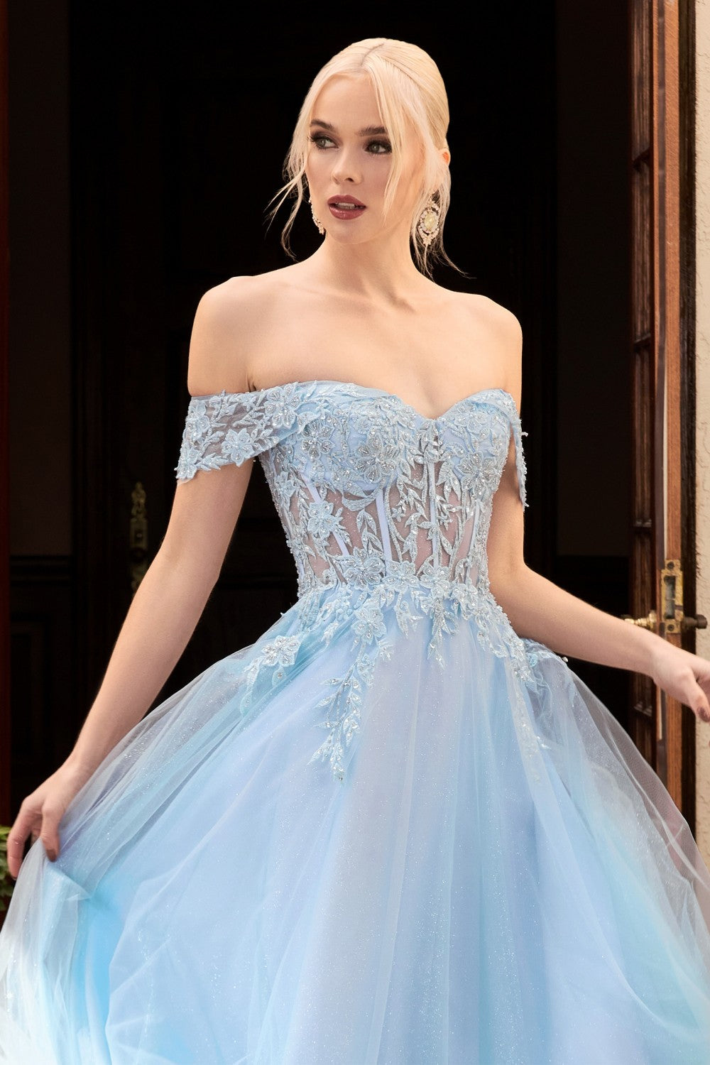 Off the Shoulder Lace Bodice Tulle A-Line Gown by Cinderella Divine CD961 - Special Occasion/Curves