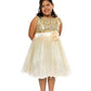 Sequin Girl Party Dress by AS305 Kids Dream - Girl Formal Dresses