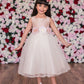 Poly Silk Tulle Girl Party Dress Plus Size by AS428 Kids Dream - Girl Formal Dresses