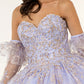 Elizabeth K - GL1944 - Embroidered Glitter Strapless Quinceanera Dress