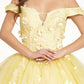 Elizabeth K - GL1958 - Embroidery Sweetheart Quinceanera Dress