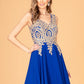 Embroidered Chiffon V-Neck Dress by Elizabeth K - GL2311 -Special Occasion/Curves